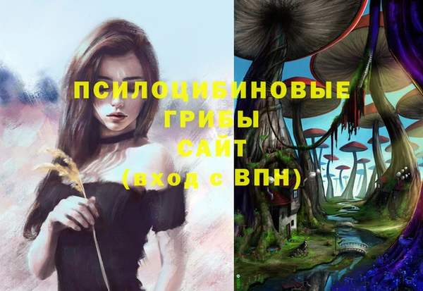 кокаин премиум Каменка