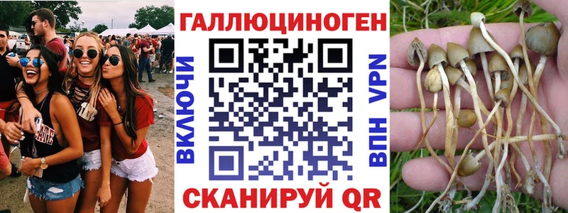 Псилоцибиновые грибы мицелий  Купить  Баксан 